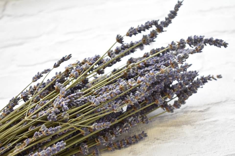 Dried Lavender