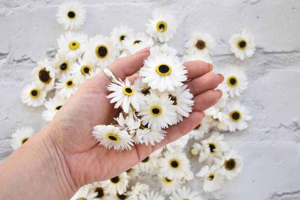 Boho Wedding Confetti