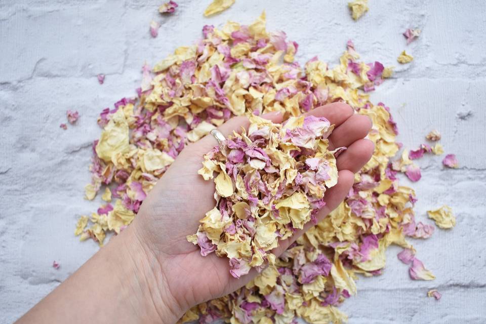 Pink & Ivory Confetti