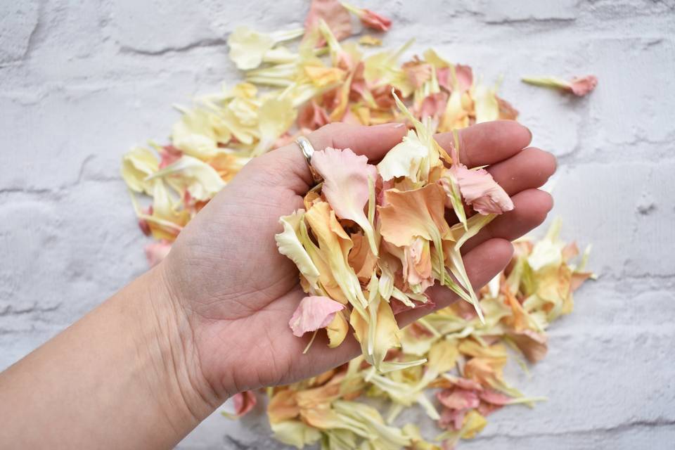 Nude Confetti