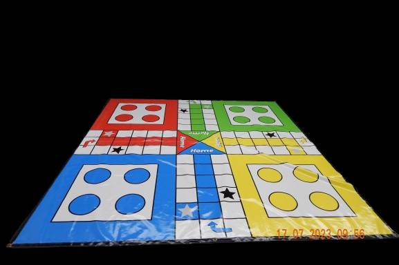 Ludo game