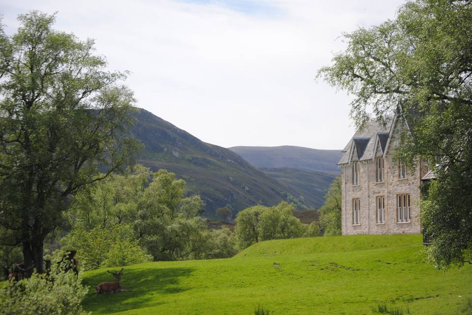 Stags outside Alladale Lodge