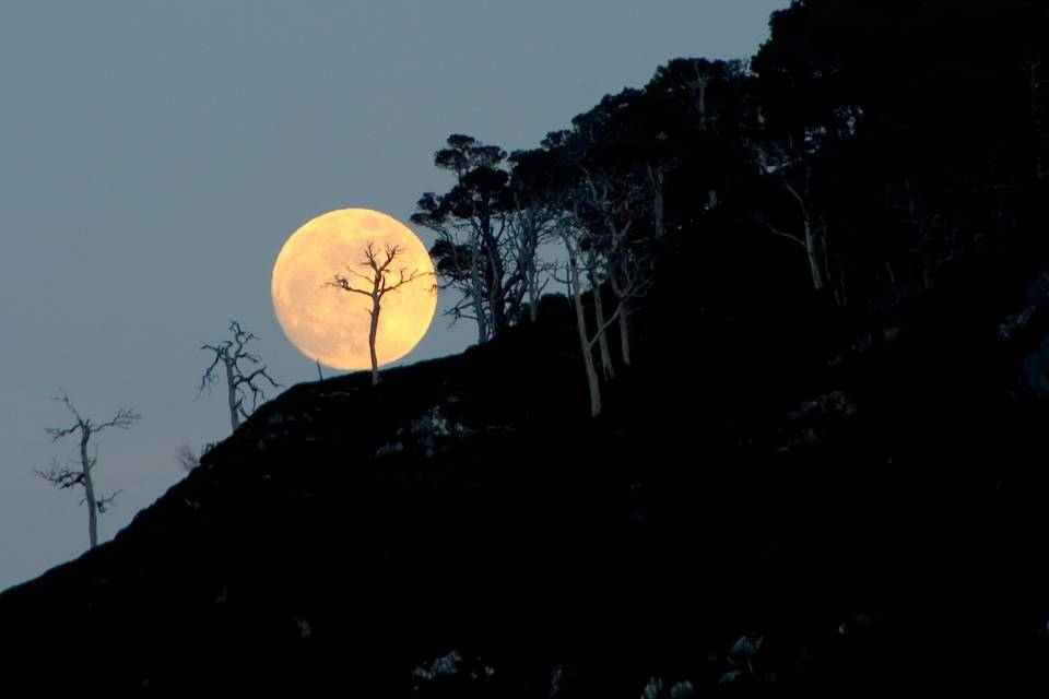 Moon over Glen Alladale