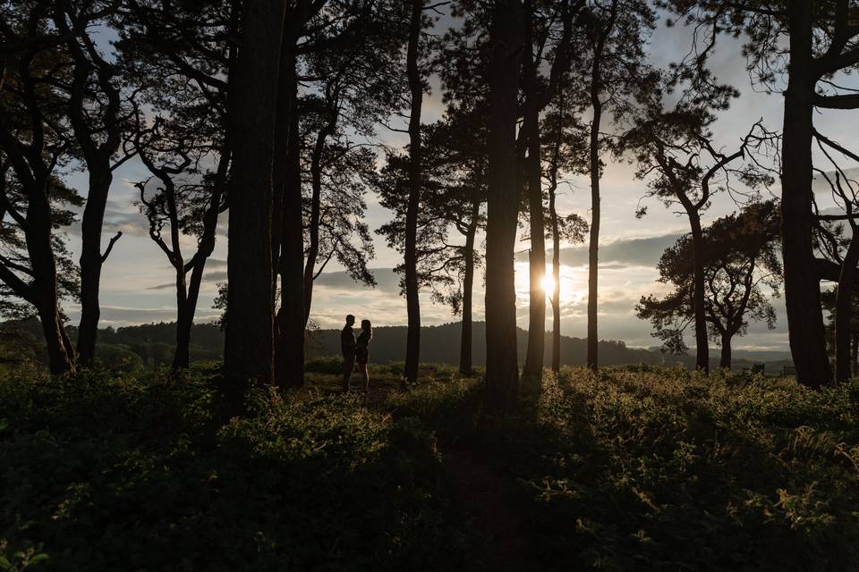 Lickey Hills Engagement