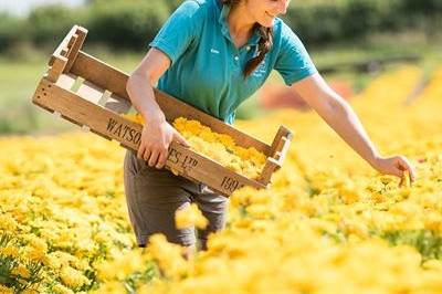 Shropshire Petals Confetti