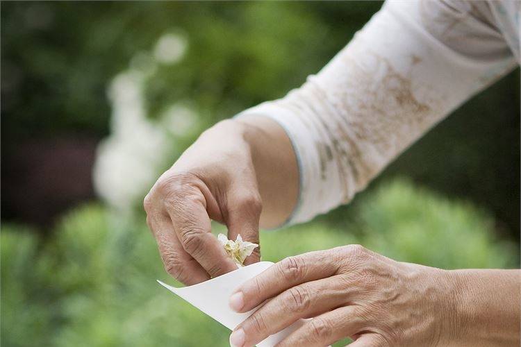 Shropshire Petals Confetti