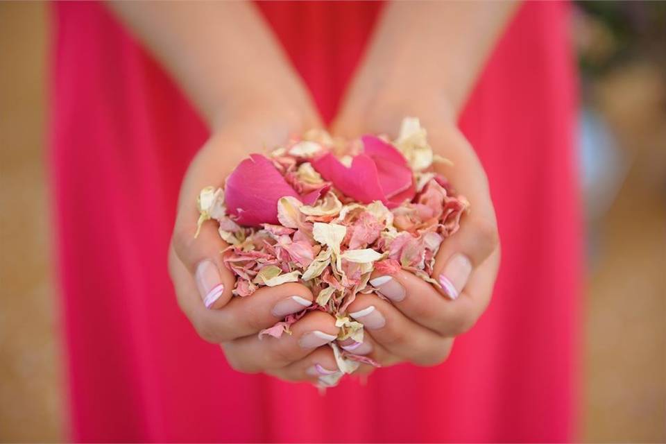 Shropshire Petals Confetti