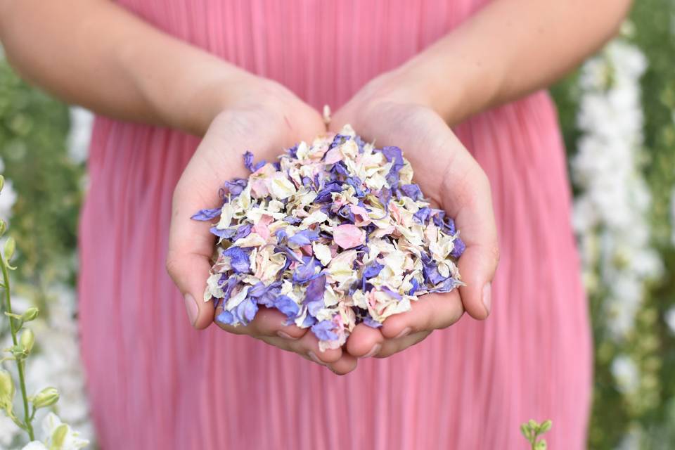 Shropshire Petals Confetti