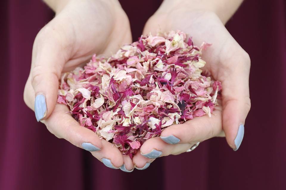 Shropshire Petals Confetti