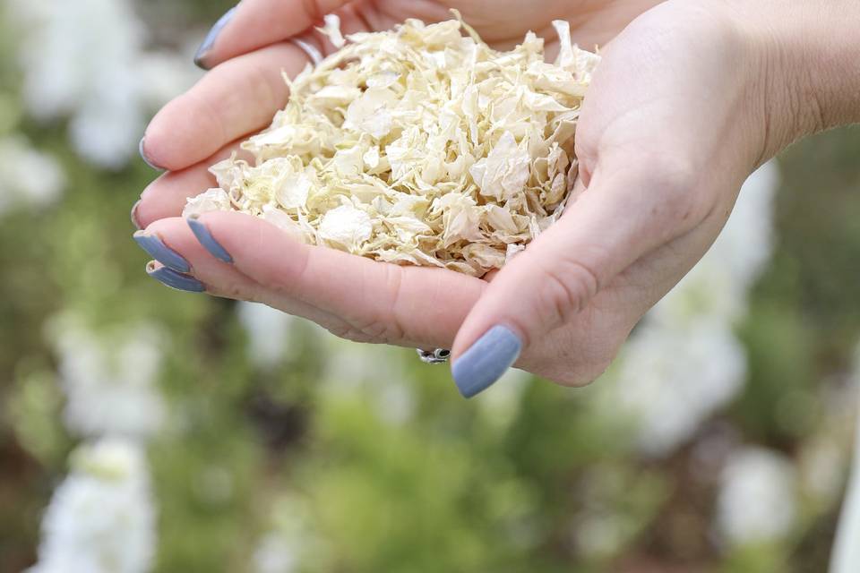 Shropshire Petals Confetti