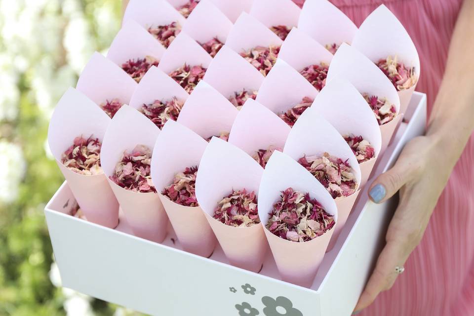 Shropshire Petals Confetti