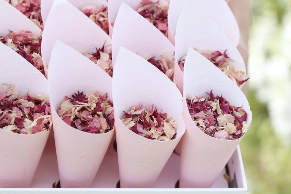 Shropshire Petals Confetti