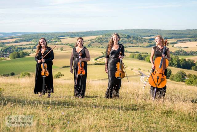 South Downs Strings