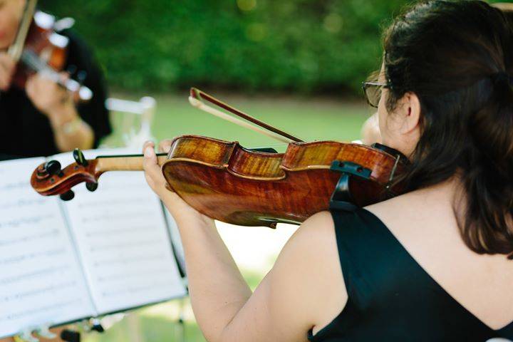 South Downs Strings