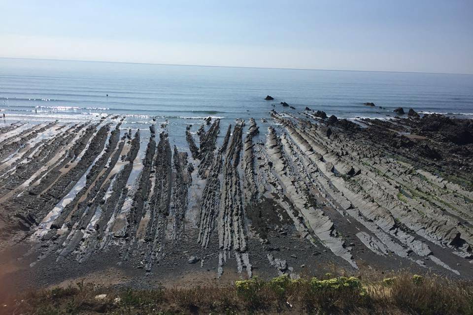 Welcombe in Low Tide