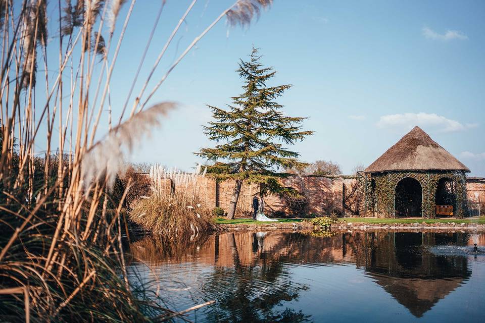 The Lily Pond