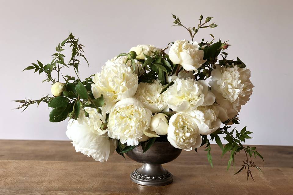 Large Range of White Peonies