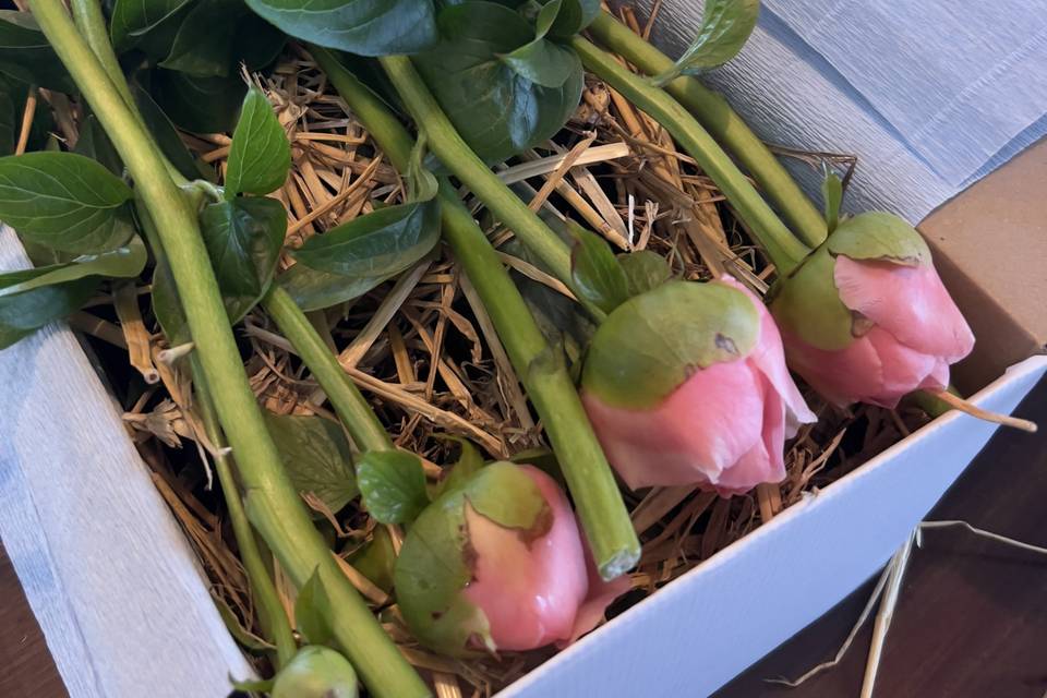 Freshly Cut Luxury by Post