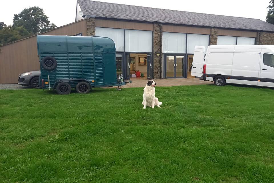 Setting up. Supervisor Dot