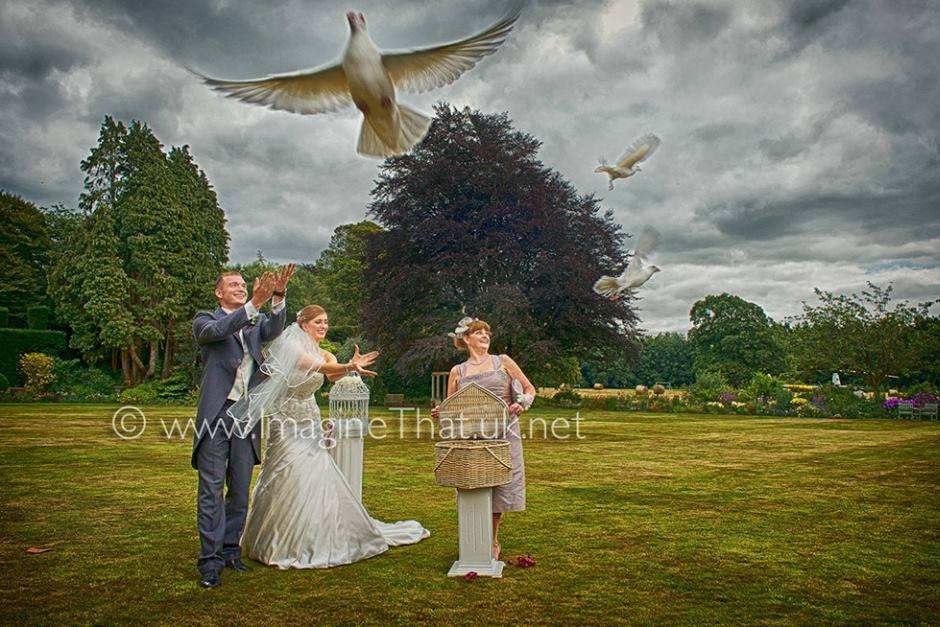 Dove Release at Miskin Manor