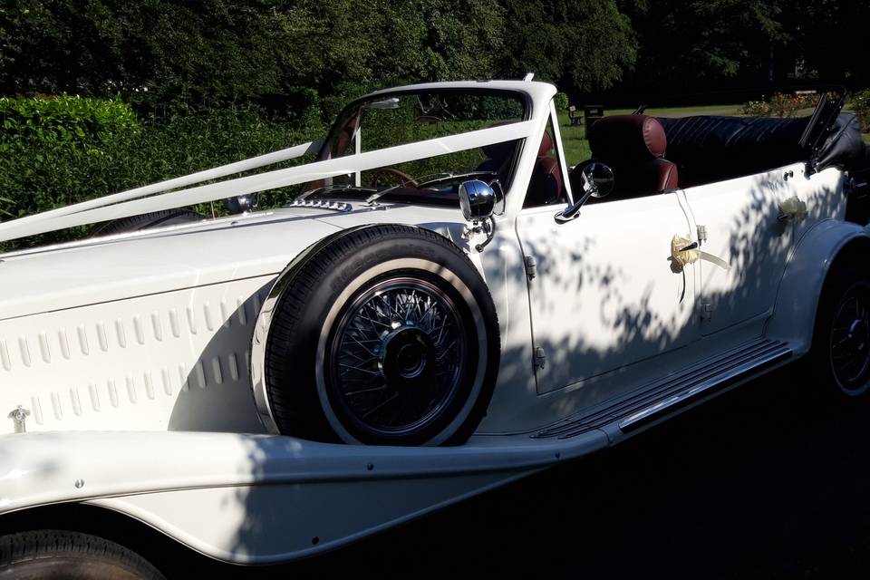 Stunning Beauford