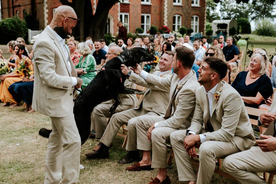 Ring Bearer & Groomsmen