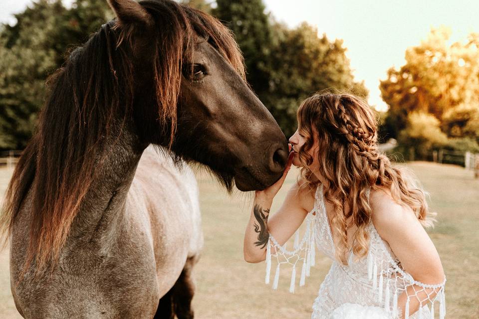 Bride & Horses