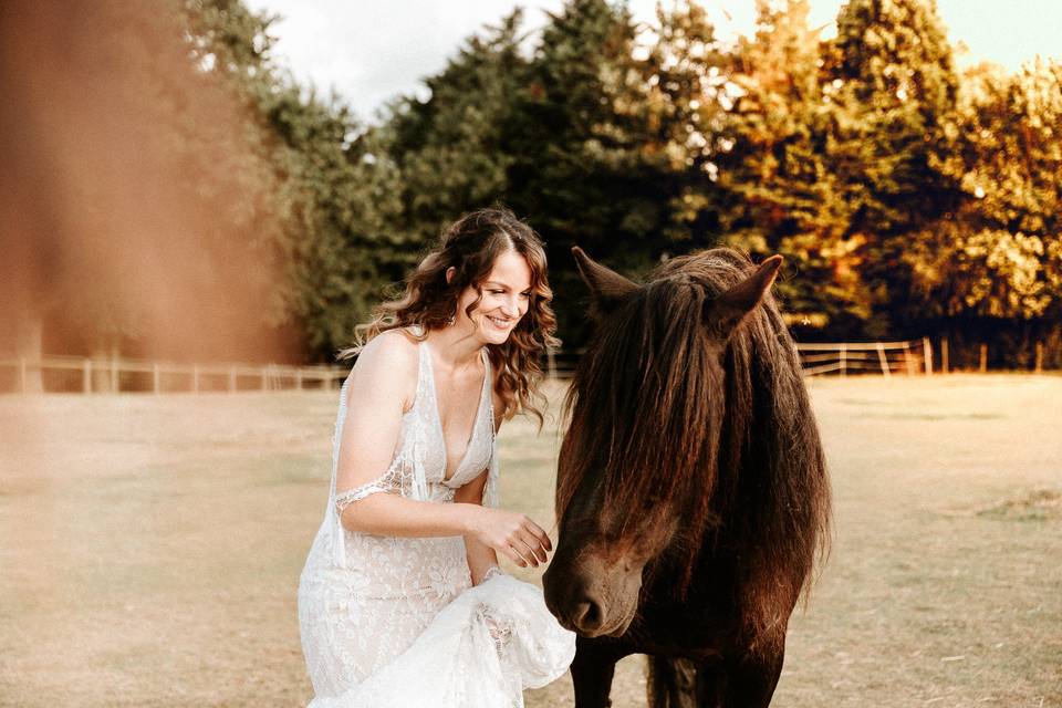 Bride & Horses