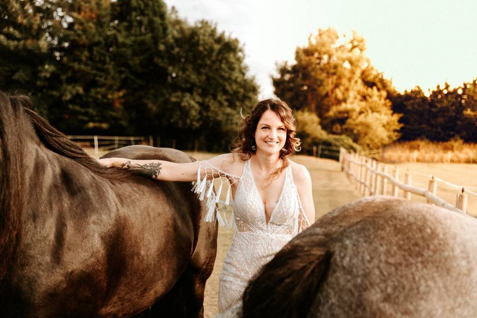 Bride & Horses