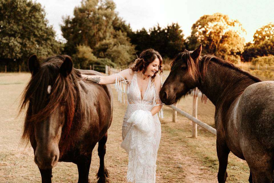 Bride & Horses