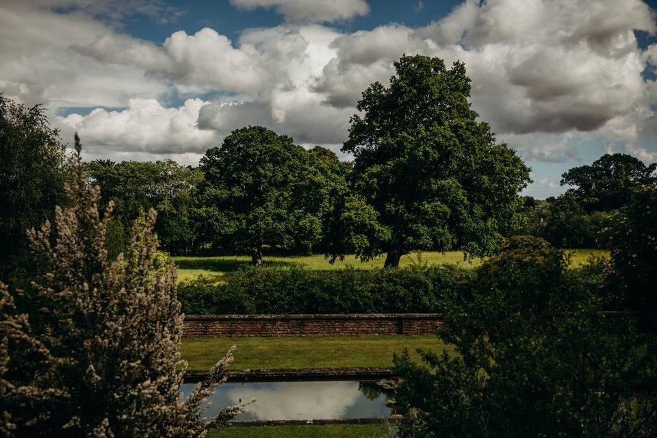 View of the New Forest