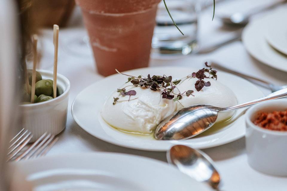 Burrata