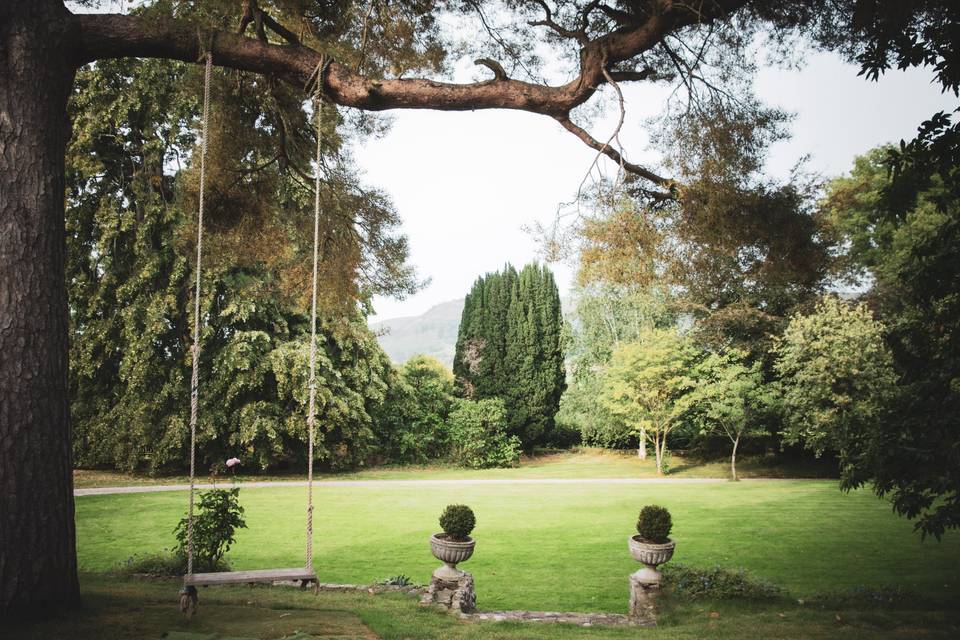 Swing and a view