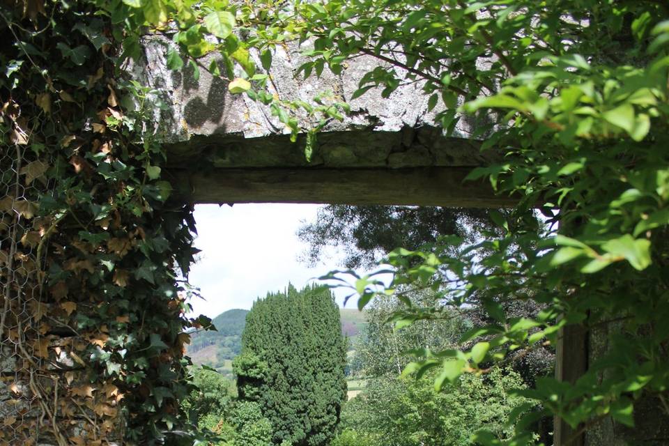 Walled Garden at Tall John's