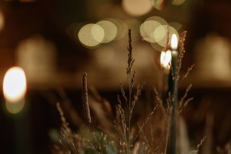 Wild forest tablescape