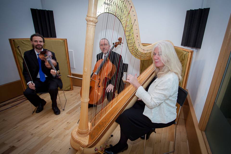 UK Harpists