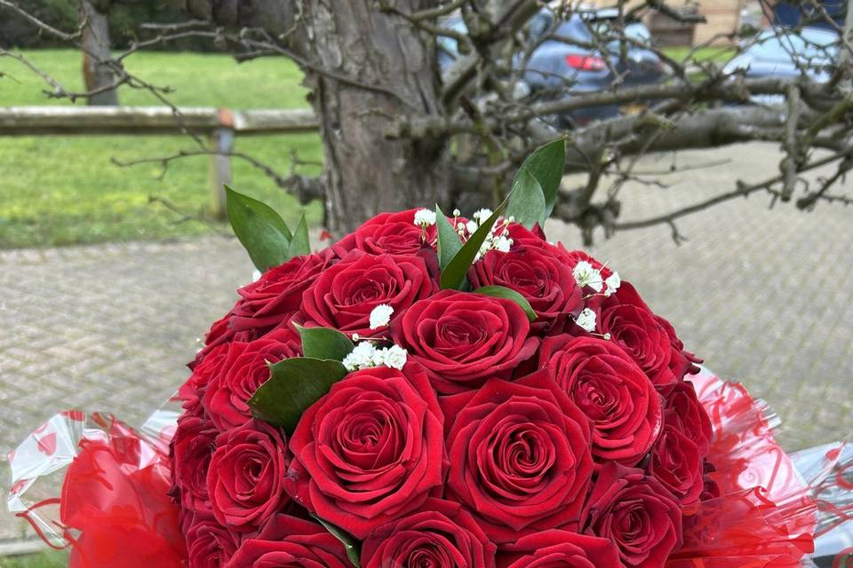 50 Red Roses