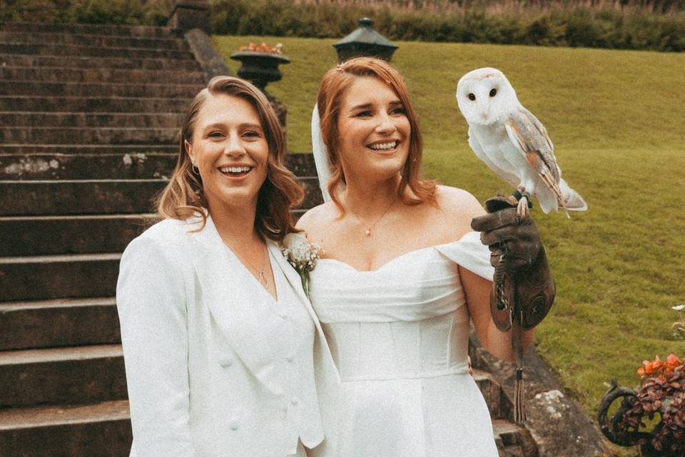 Pita the owl
