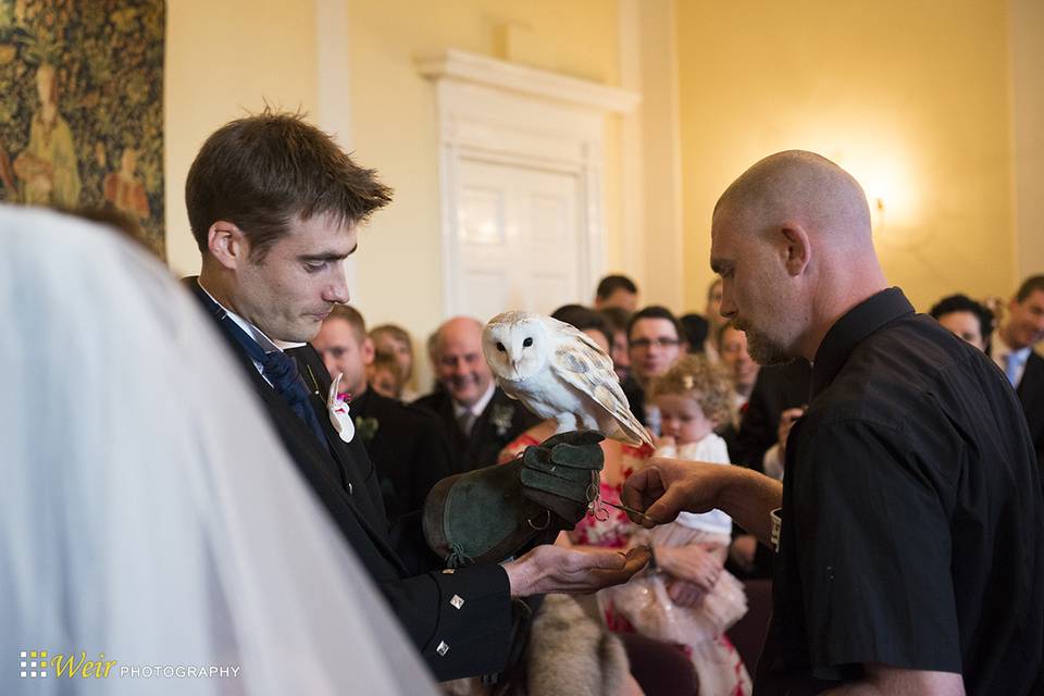 Stuart Milne Falconry