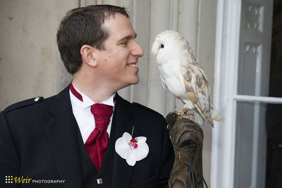 Stuart Milne Falconry