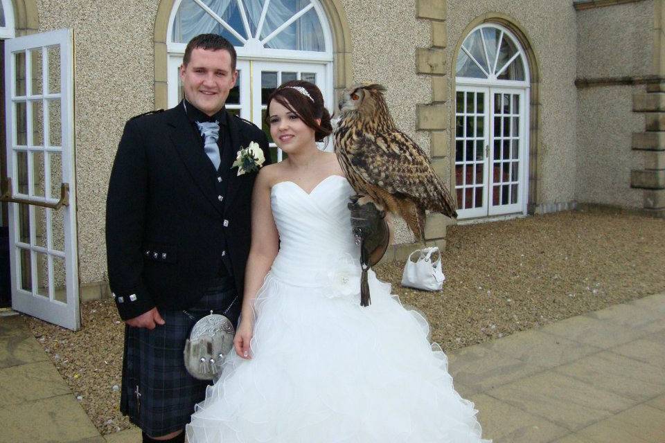 Stuart Milne Falconry