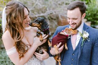 The Furry Dogmother Wedding Chaperone
