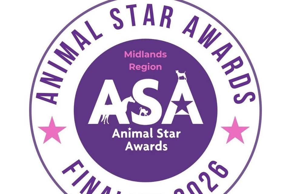 Finalists for our dog service