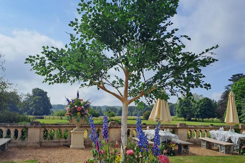 Tree with meadow