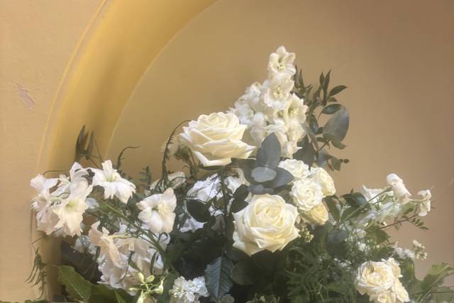 Gorgeous flowers