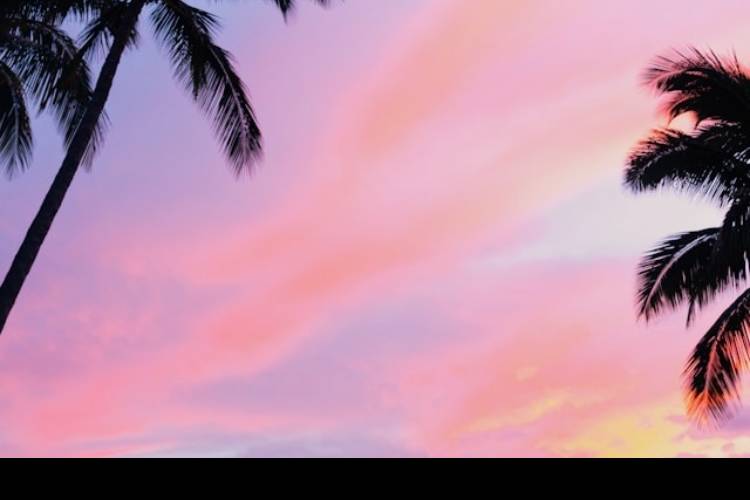 Beautiful sunset