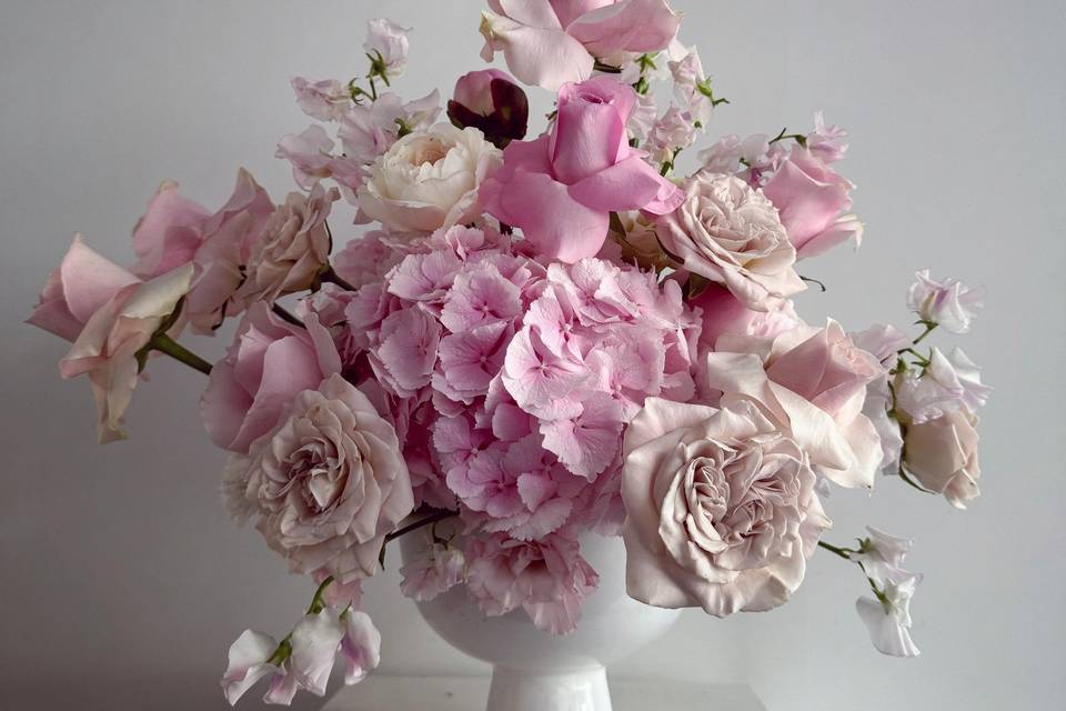 Lottie Rose Designs