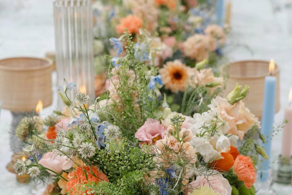 Lottie Rose Designs