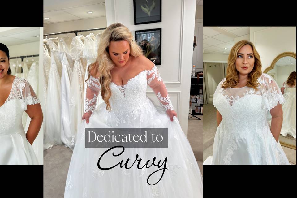 Plus Size Wedding Dress Shop