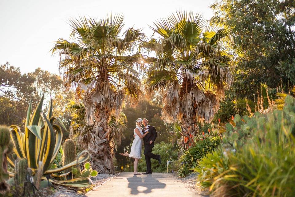 Ventnor Botanic Garden